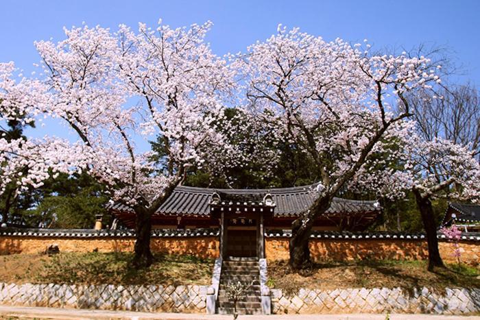 Wolamjae Villa Gyeongju Ngoại thất bức ảnh